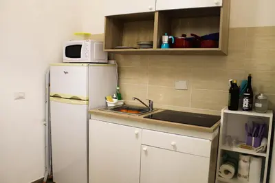 a small kitchen with a white refrigerator and a sink at Daffodil in Roma San Pietro in Rome