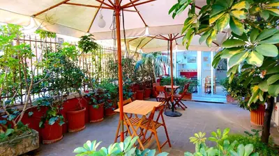 a patio with a table andundreds of potted plants at B&B San Michele a Porta Pia in Rome