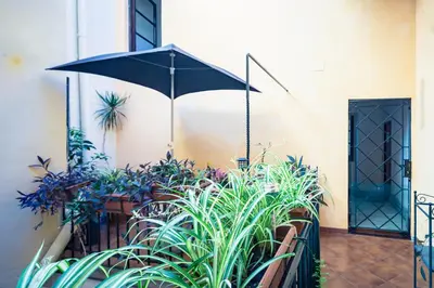 a patio with an umbrella and some plants at Savelli Apartment in Rome
