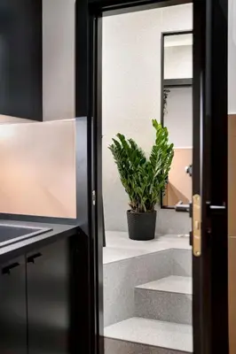 a door leading into a bathroom with a potted plant at Luxury Trevi House in Rome