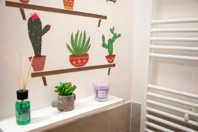 a shelf with cacti and other plants on it at San Pietro apart in Rome