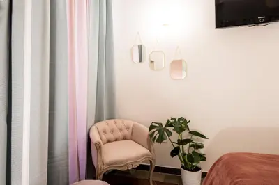a room with a chair and a potted plant at Appartamento Flora Metro Vittorio in Rome