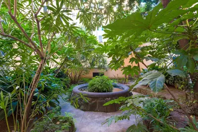 a garden with trees and plants in a building at Casa Satrico in Rome
