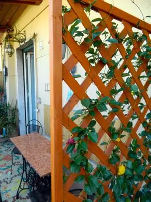 a wooden trellis with a table and a plant at Abitazione Pigneto B&B in Rome