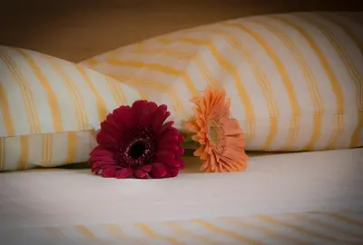 two flowers sitting on top of a bed with pillows at On The Rainbow B&B in Rome