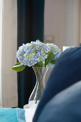 a vase filled with blue flowers sitting on a table at Palazzetto de Lante Appartamento Parione in Rome