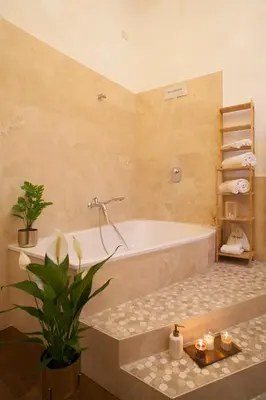 a bathroom with a tub and a potted plant at Palazzetto de Lante Appartamento Parione in Rome