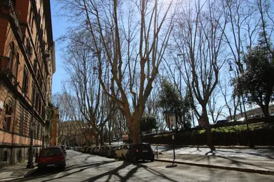 a street with cars parked on the side of the road at Charme apartment with Spa in Piazza del Popolo in Rome