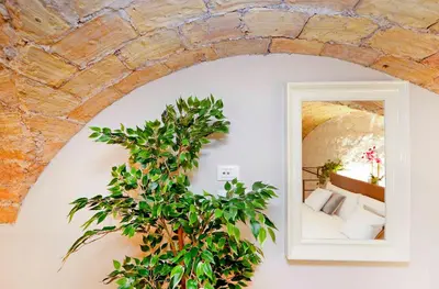 a room with a mirror and a plant at Post Industrial Loft Trastevere - Top Collection in Rome