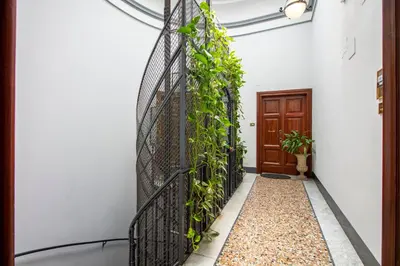 a corridor of a house with a door and plants at Cody's Apartment in Rome