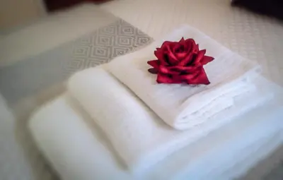 a red rose sitting on top of a white towel at Casina Tiberina in Rome