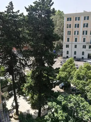 a large tree in front of a building at In Rome in Rome
