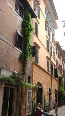 a building with ivy growing on the side of it at Moro Magenta 1 Casa e Appartamento per Vacanze in Rome