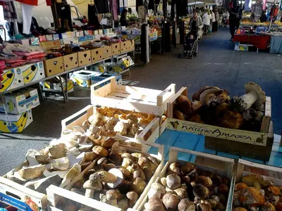 a market with boxes filled with different types of mushrooms at Appartamento Isabella in Rome