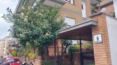 a tree in front of a building with a speed limit sign at Appartamento Isabella in Rome