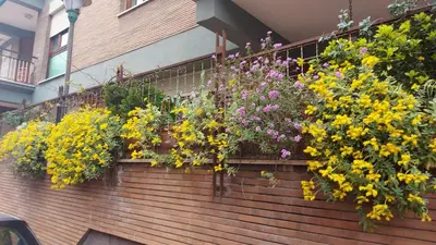 a bunch of flowers on a brick wall at Appartamento Isabella in Rome
