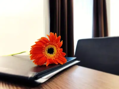 a orange flower sitting on top of a table at House Garden in Rome