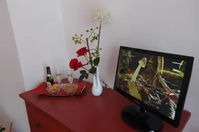 a tv sitting on a red dresser with a vase of flowers at ACasaDiEnza in Rome