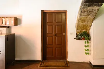 a wooden door in a kitchen with a plant next to it at Trust-Trastevere in Rome