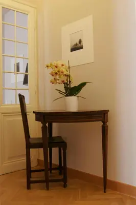 a wooden table with a potted plant on it at Roman Suite in Rome