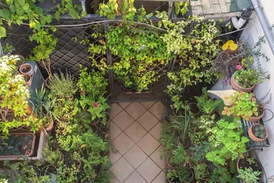 a garden with many plants and flowers and a gate at Hotel Isa in Rome