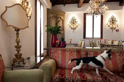 a dog standing on a couch in a living room at Hotel Columbia in Rome