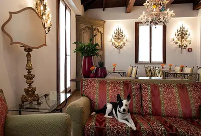 a dog sitting on a couch in a living room at Hotel Columbia in Rome
