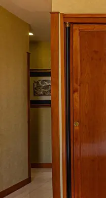 a hallway with a wooden door and a closet at Hotel Miami in Rome