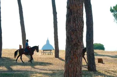 a person riding a horse through the trees at Pinewood Hotel Rome in Rome