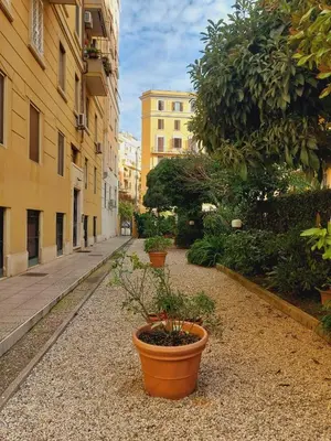 an empty street with pots of plants and buildings at Mini Suite Indipendente in Rome