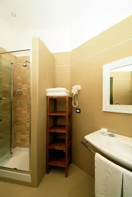 a bathroom with a sink and a shower at Hotel Argentina in Rome