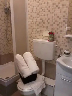 a bathroom with a toilet and a sink with towels at Vesta Domus in Rome