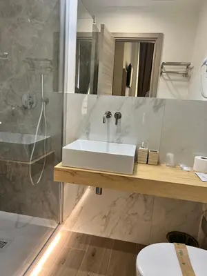 a bathroom with a sink and a shower at Hotel Le Petit in Rome