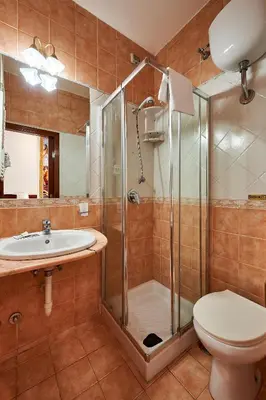 a bathroom with a shower and a toilet and a sink at Hotel Virginia in Rome