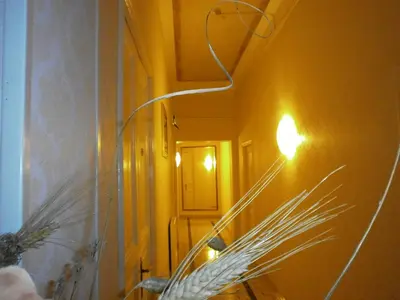 a light on a wall next to a hallway with a feather lamp at Hotel Texas in Rome