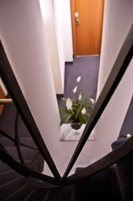 a stairway with a potted plant in a pot at Hotel Concordia in Rome