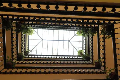 a mirror with a window with plants in it at Hotel Pace Helvezia in Rome