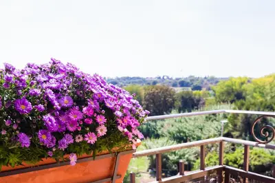 a pot of purple flowers on a balcony at Romoli Hotel in Rome