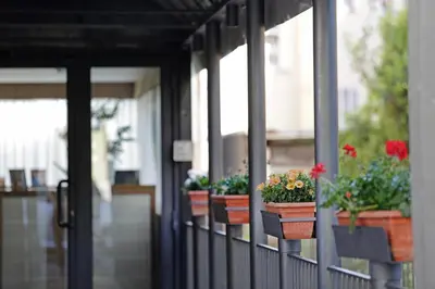 a row of potted plants on a balcony at BeYou Hotel Ponte Milvio in Rome