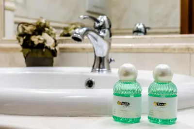two bottles of detergent sitting on a bathroom sink at Luxury Rooms H 2000 Roma in Rome