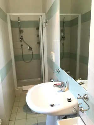 a bathroom with a sink and a shower at Hotel Lodi in Rome