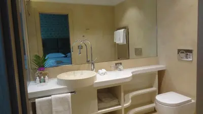 a bathroom with a sink and a toilet and a mirror at Augustana House and Suites in Rome