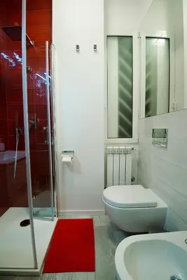 a bathroom with a toilet and a shower and a red rug at Posada de Liz y Fabrizio in Rome