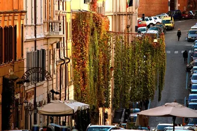 a city street with cars and buildings and umbrellas at SuityRHome RioneMonti56 in Rome