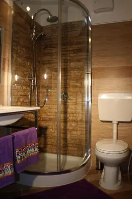 a bathroom with a shower with a toilet and a sink at Shelisa B&B in Rome