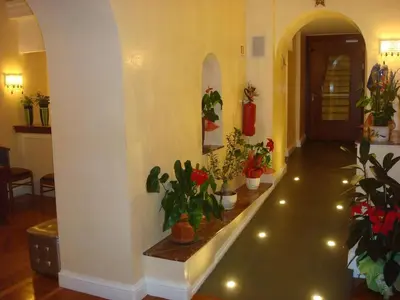 a hallway with a bunch of potted plants on the wall at Hotel Dina in Rome
