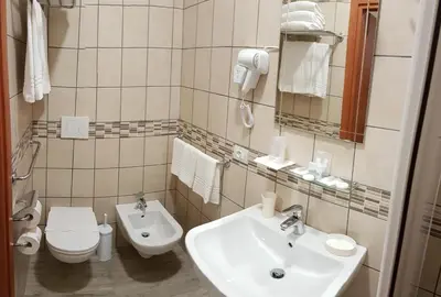 a bathroom with a sink and a toilet at Hotel Artorius in Rome