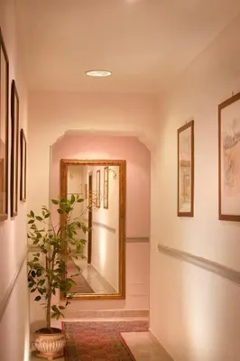 a hallway with a mirror and a potted plant at Hotel Silla in Rome