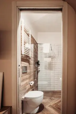 a bathroom with a toilet and a shower at Hotel Domus Tiberina in Rome