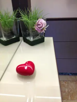a red heart sitting on a table with a vase of flowers at Hotel Dei Mille in Rome